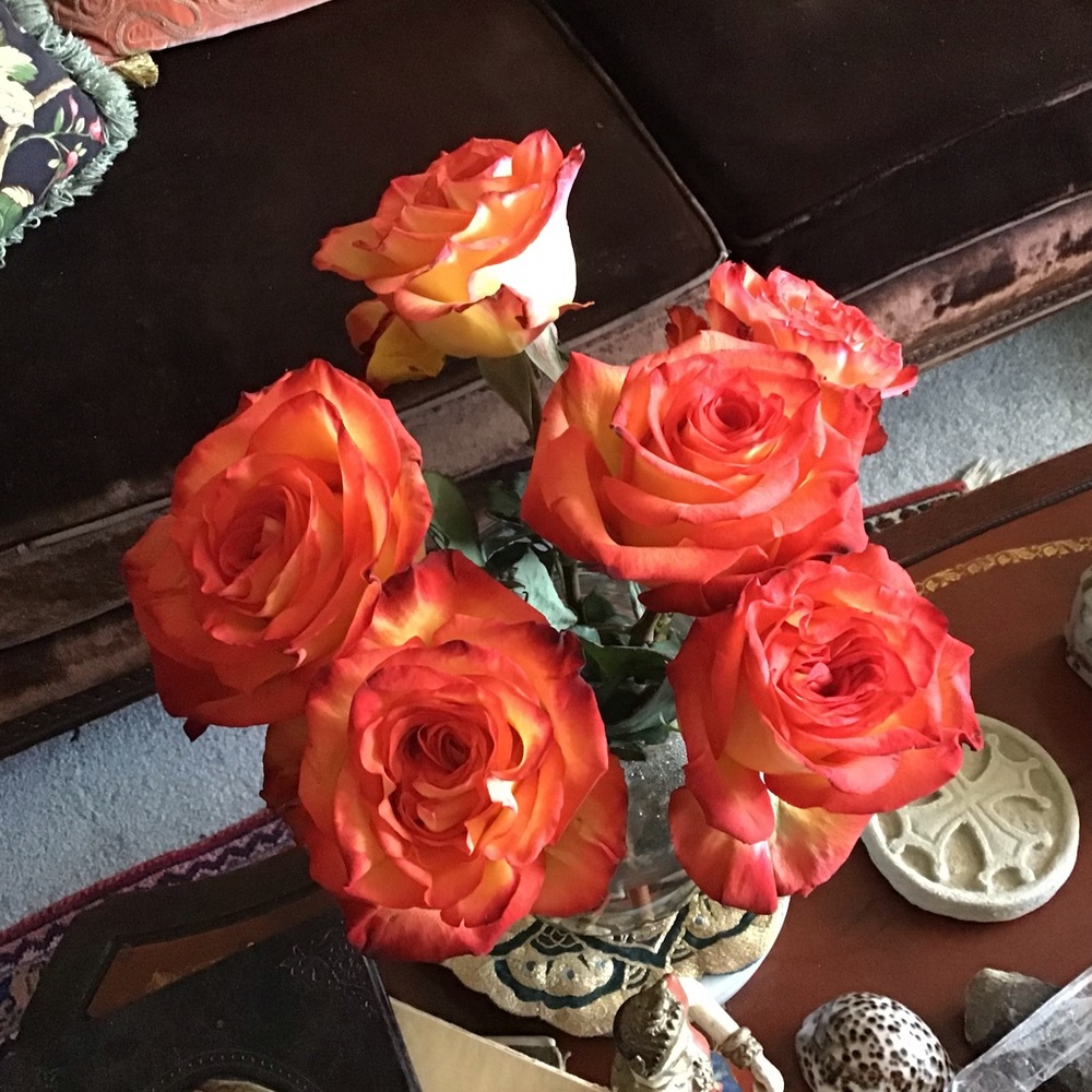 Meet your Posher, Lynn